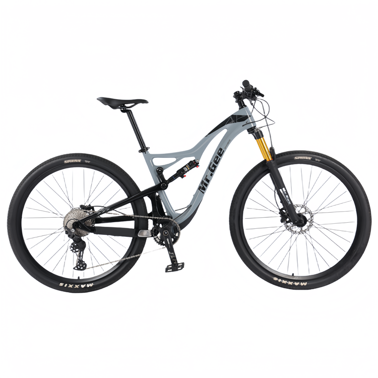 Bici in fibra di carbonio 29 p - Philippines Cycling Gear recensione e prezzo