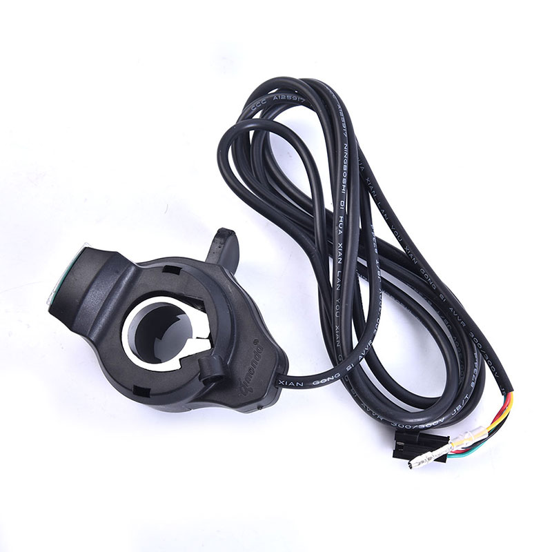 Bici elettrica E-bike thumb th - Cycling Gear Display recensione e prezzo